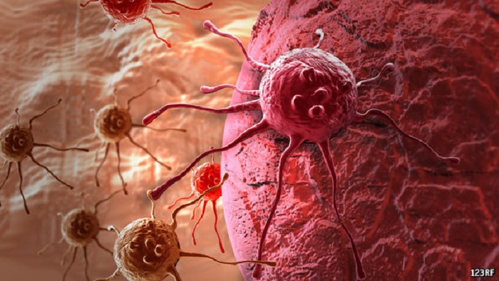 This `living drug` could wipe out cancer - VIDEO